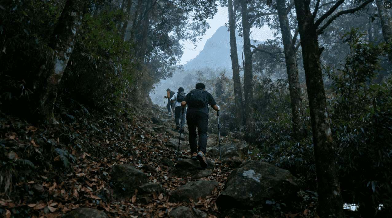 坚果超级加速器：极速提升你的电脑性能